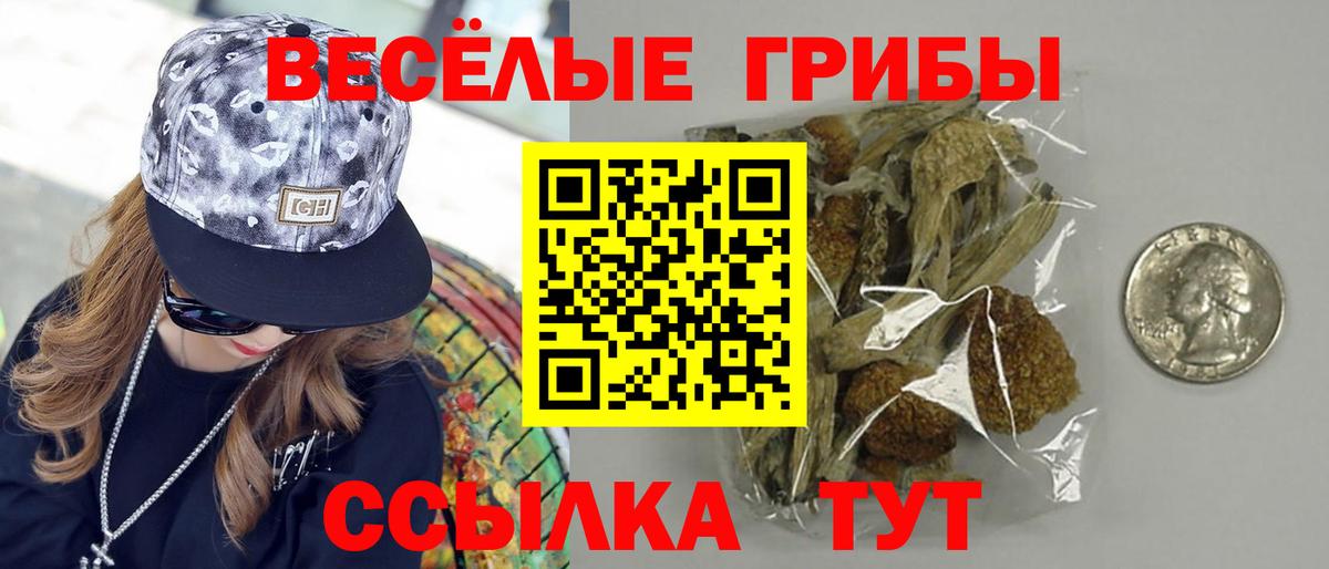 Галлюциногенные грибы Psilocybine cubensis  Галлюциногенные грибы мицелий  Жигулёвск  Вход с VPN 